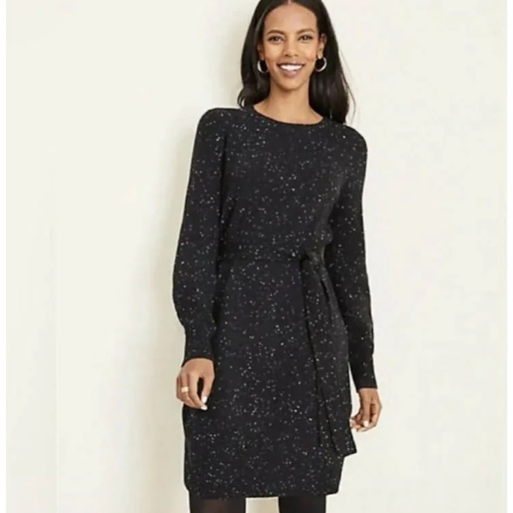Ann Taylor Belted Speckled Sweater Dress